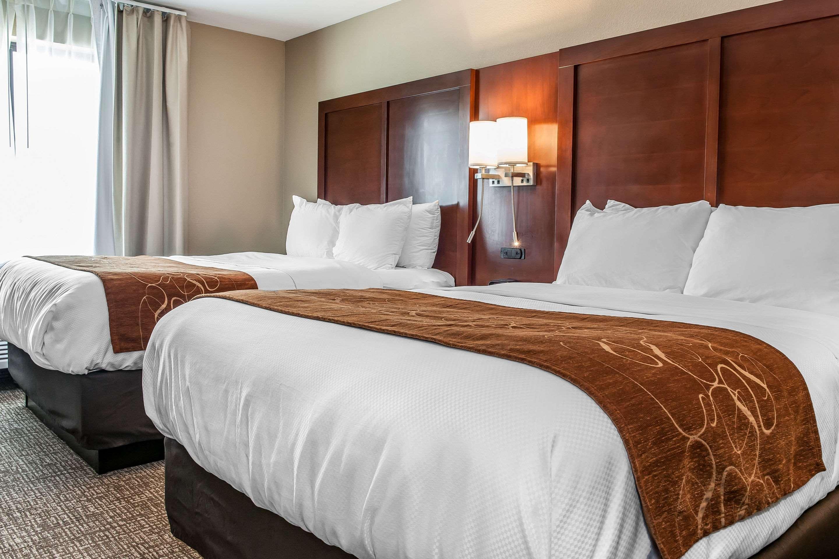 Comfort Suites Rensselaer Near Fair Oaks Exteriér fotografie